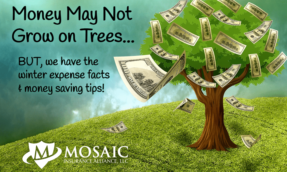 Money May Not Grow on Trees-Blog Landing-min