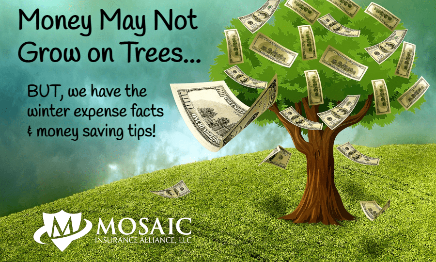 Money May Not Grow on Trees-Blog Top Pic-min