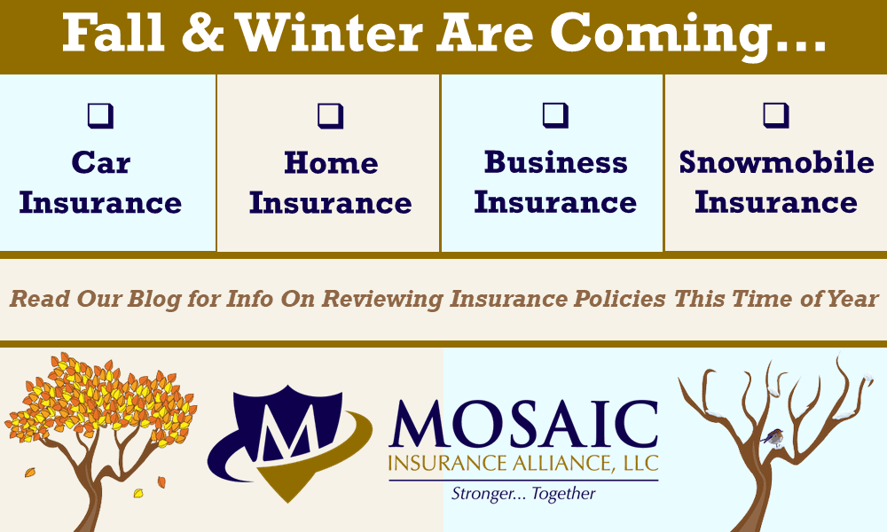 infographic of fall and winter seasons and different insurance options