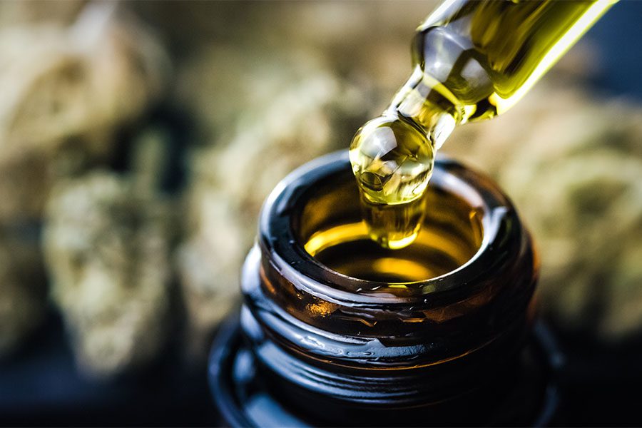 CBD Insurance - Hand Holding Droplet of CBD Cannabis Oil Above Bottle Against Background with Dry Cannabis Buds