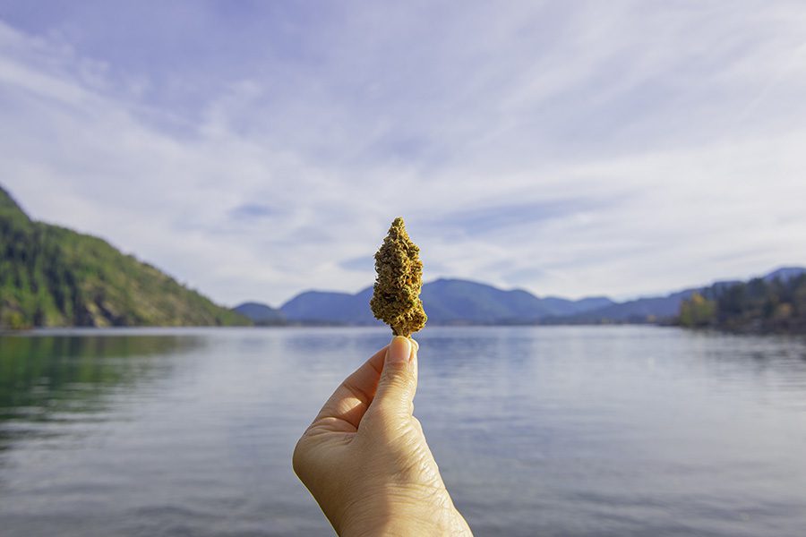 Cannabis Newsletter - Man Holding a Cannabis Bud in Front of the Lake with Views of the Mountains in the Background