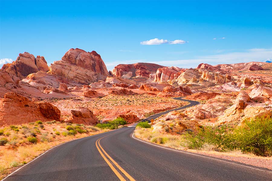 Nevada Cannabis Insurance - Empty Road Surrounded by Sandstone Formations and Views of the Desert in Nevada