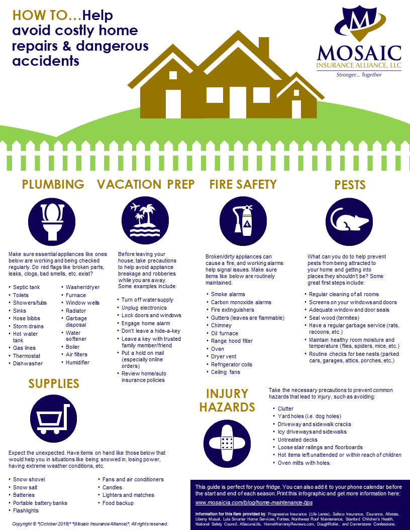 Car Maintenance Tips Checklist Infographic