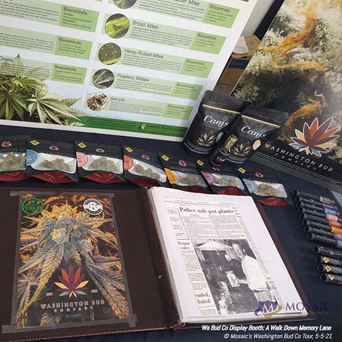 Blog - Display Table of History and Types of Cannabis at WA Bud Co