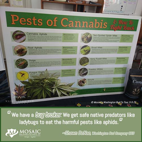 Blog - Sign Showing the Pests of Cannabis at the WA Bud Co Tour in 2021