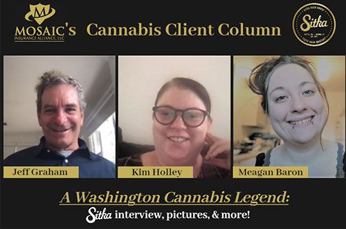 Cannabis Blog - Sitka Cannabis Washington Mosaic Insurance Cannabis Insurance Zoom Interview
