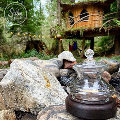 Cannabis Blog - Sitka Gold Cannabis Dome Outside in a Beautiful Garden