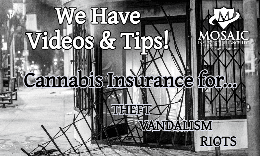Blog Image - What Cannabis Insurance Can Protect Your Business from Rioters, Theft, and Vandalism - Business Broken Into With Smoke Coming Out Of The Front Door