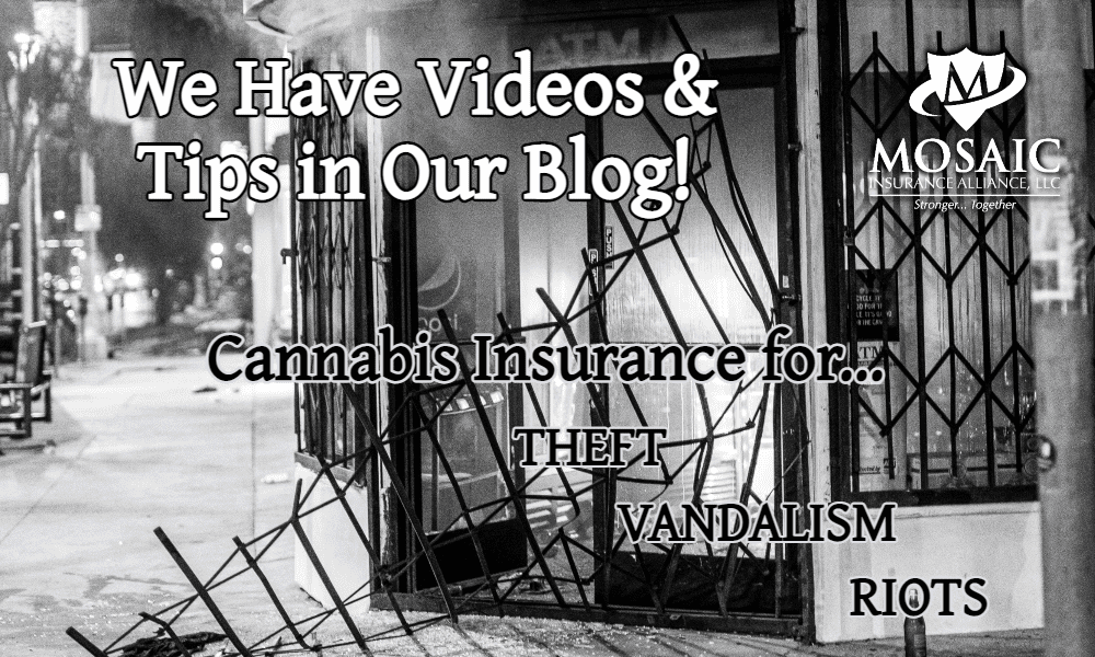Blog - Featured Image - What Cannabis Insurance Can Protect Your Business from Rioters, Theft, and Vandalism - Business Broken Into With Smoke Coming Out Of The Door