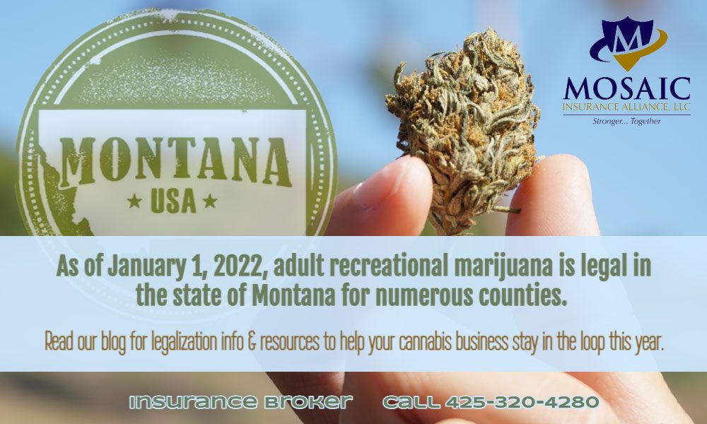 Blog - Hand Holding Cannabis and Message On Montana Legalization 2022