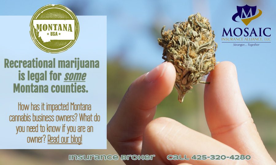Blog - Handing Holding Cannabis With Message About Montana and Recreational Manijuana