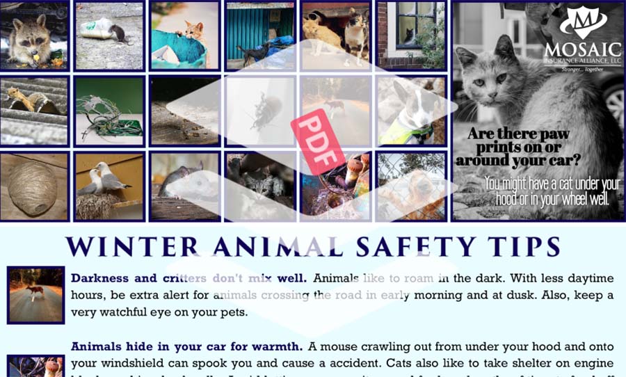 Blog - List of Winter Animal Safety Tips PDF Image
