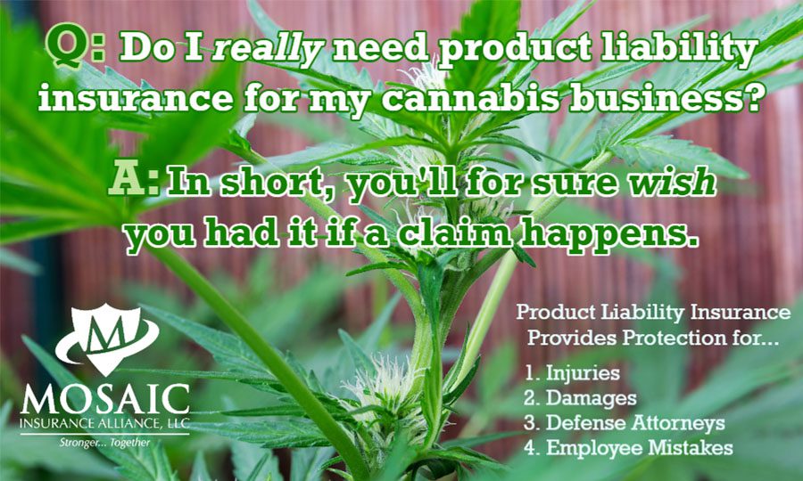Blog Post - Question and Answer Text Above Image of a Cannabis Plant and Mosaic Logo in the Corner