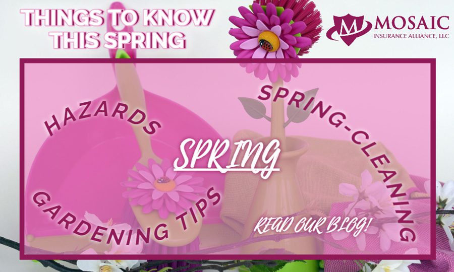 Blog Post - Things to Know this Spring Text Over Picture of Gardening Tools with Fake Pink Flowers and Spring Cleaning Text Over Top