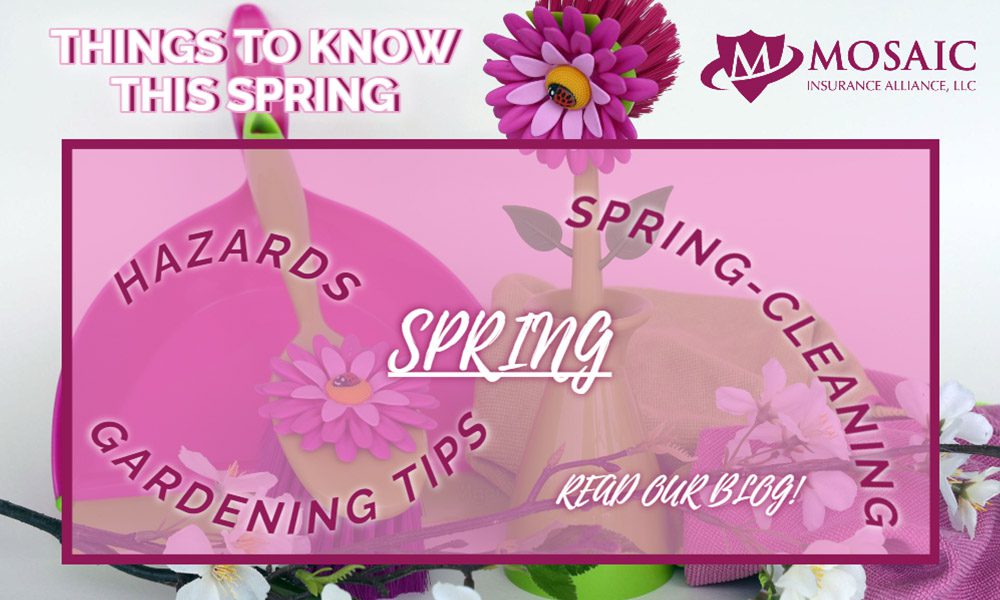 Blog - Things to Know this Spring Text Over Picture of Gardening Tools with Fake Pink Flowers and Spring Cleaning Text Over Top