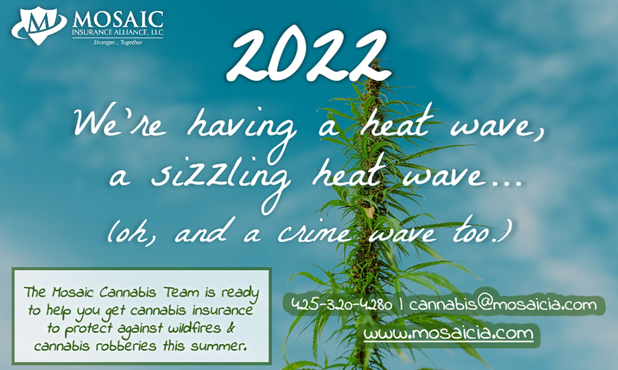 Cannabis Blog - 2022 We're Having a Heat Wave, a Sizzling Heat Wave... Oh, and a Crime Wave Too Text Above an Image of a Cannabis Plant and Mosaic Logo