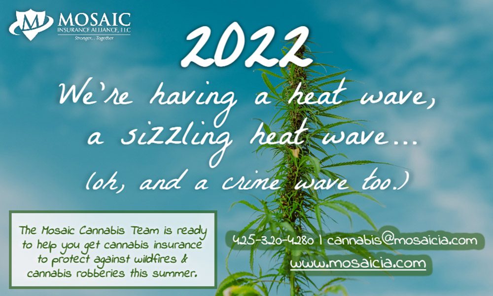 Cannabis Blog - 2022 We're Having a Heat Wave, a Sizzling Heat Wave... Oh, and a Crime Wave Too Text Above an Image of a Cannabis PlantCannabis Blog - 2022 We're Having a Heat Wave, a Sizzling Heat Wave... Oh, and a Crime Wave Too Text Above an Image of a Cannabis PlantCannabis Blog - 2022 We're Having a Heat Wave, a Sizzling Heat Wave... Oh, and a Crime Wave Too Text Above an Image of a Cannabis PlantCannabis Blog - 2022 We're Having a Heat Wave, a Sizzling Heat Wave... Oh, and a Crime Wave Too Text Above an Image of a Cannabis Plant