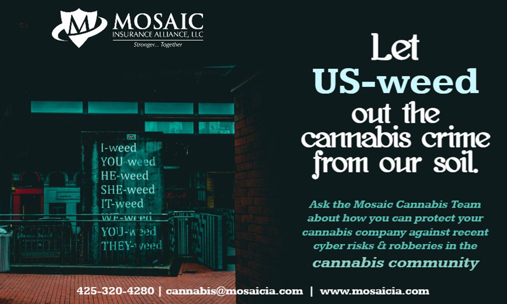 Cannabis Blog - Let Us Weed Out the Cannabis Crime from Our Soil Text Beside Image of a Dispensary