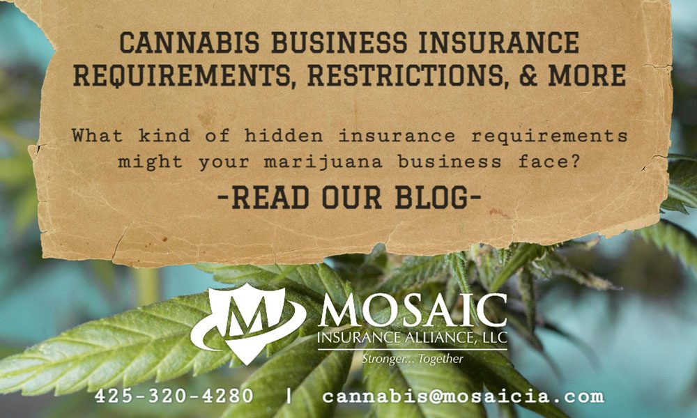 Blog - Cannabis Business Insurance Requirements, Restrictions, and More Text over Image of a Cannabis Plant