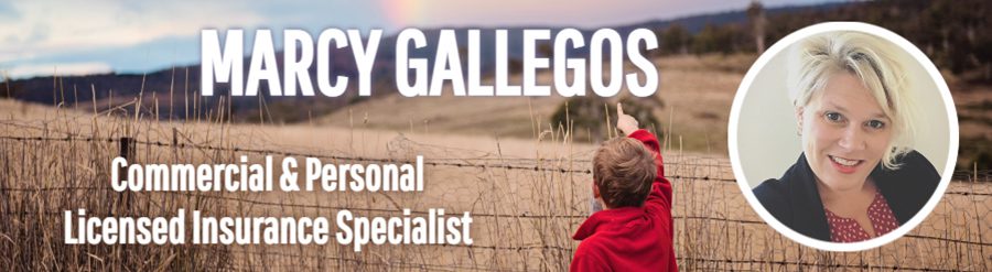 Blog Post - Marcy Gallegos Headshot and a Boy Pointing at Sky By a Wire Fence with a Field of Wheat