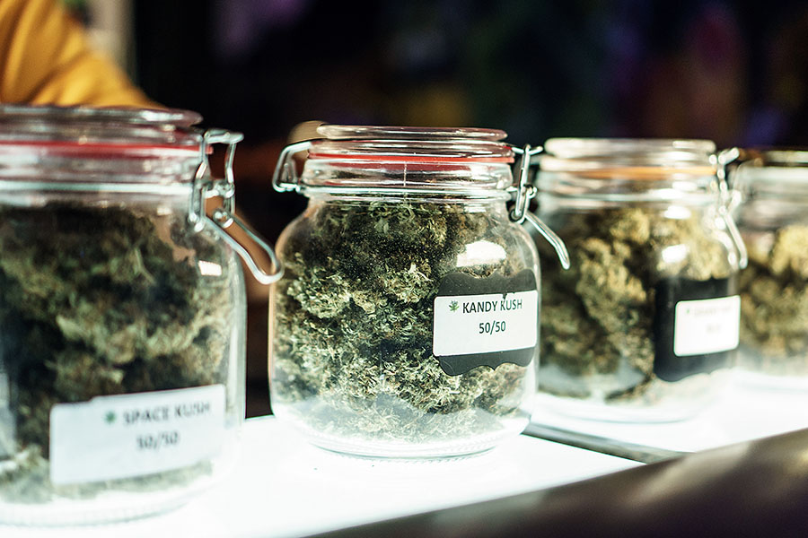Cannabis Insurance Carriers - Closeup View of a Row of Jars with Different Cannabis Strains on Display in a Recreational Store