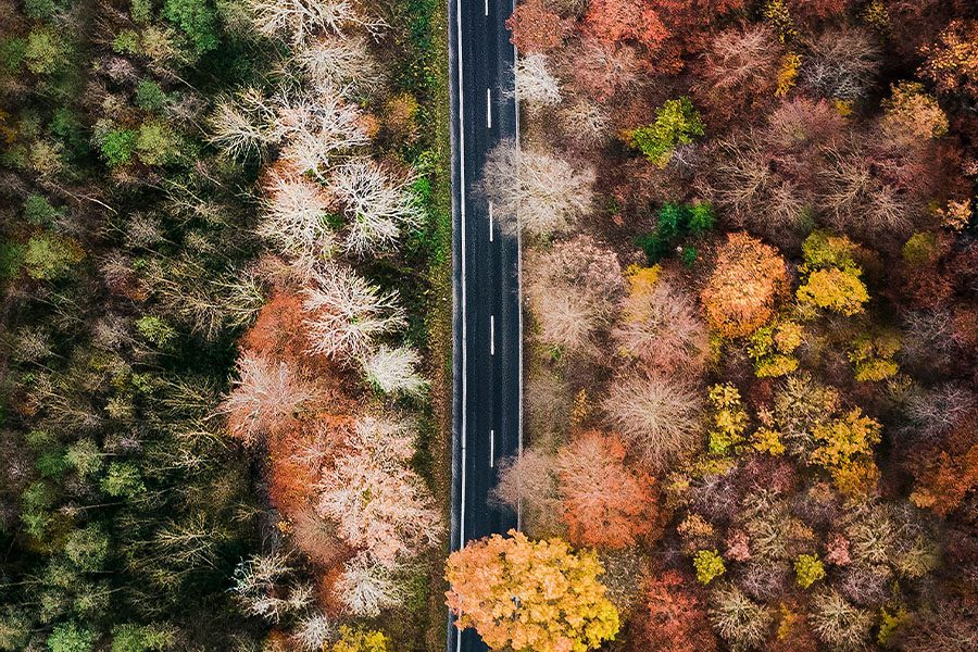 Fall Insurance - Aerial View of a Road With Fall Foliege on the Sides