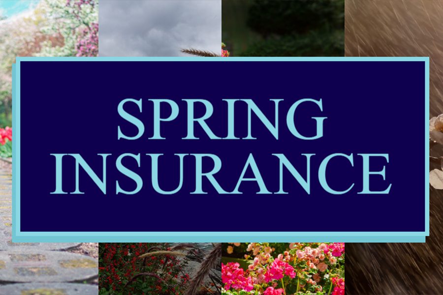 Insurance for the Different Seasons - Spring Insurance Picture
